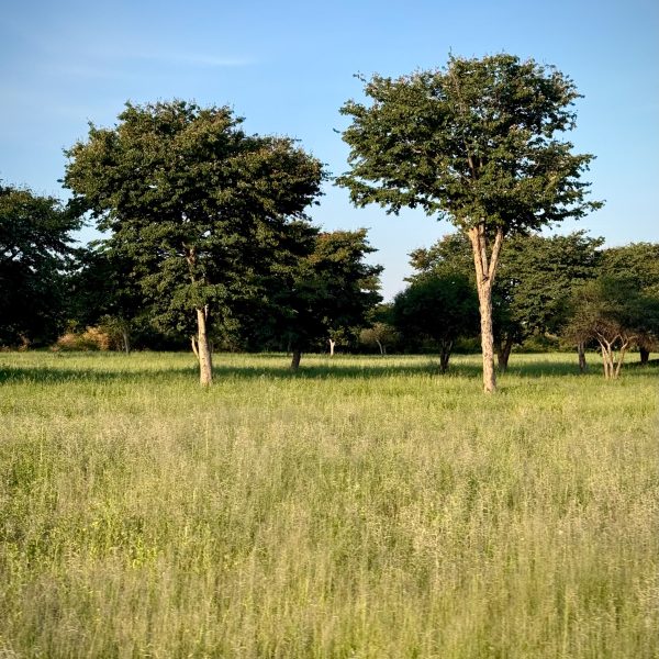 ETAPE9_004